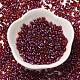 Spray Painted Glass Seed Beads&nbsp;SEED-F005-06A-03-2