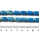 Natural Imperial Jasper Beads Strands&nbsp;G-Q171-B01-01-5