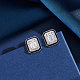 925 Sterling Silver Cubic Zirconia Stud Earrings&nbsp;EJEW-L294-013P-2