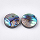 Abalone Shell/Paua Shell Beads&nbsp;SSHEL-T008-06B-2
