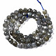 Natural Labradorite Beads Strands&nbsp;G-T108-61-2
