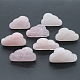Natural Rose Quartz Display Decorations&nbsp;G-PW0004-06C-1
