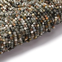 Natural Tree Agate Beads Strands&nbsp;LS-G-RM2025-A40-3mm