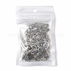 60Pcs 30 Style Tibetan Style Zinc Alloy Charms&nbsp;TIBEP-FS0001-09