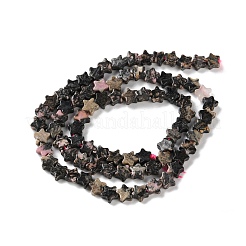 Natural Rhodonite Beads Strands&nbsp;G-G085-B50-02