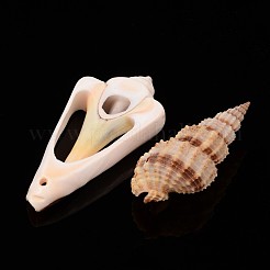 Natural Trumpet Shell Beads&nbsp;BSHE-MSMC001-M1