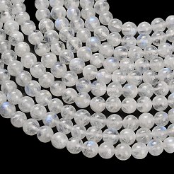 Natural Rainbow Moonstone Beads Strands&nbsp;G-H329-C09-5mm