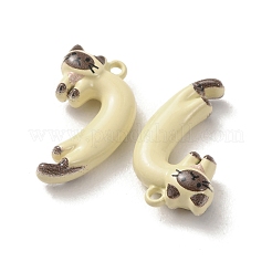 Baking Paint Zinc Alloy Pendants&nbsp;AL-CBAEA91-03A