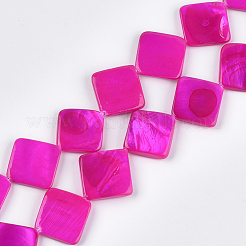 Spray Painted Freshwater Shell Beads&nbsp;SHEL-T010-05