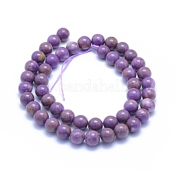 Natural Lepidolite/Purple Mica Stone Beads Strands&nbsp;G-L552H-09D