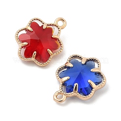 Glass Pendants&nbsp;KK-S407-19KCG
