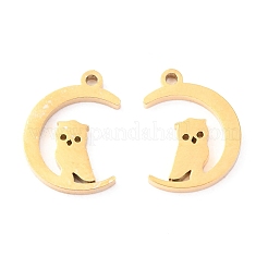 304 Stainless Steel Charms&nbsp;STAS-O142-40G