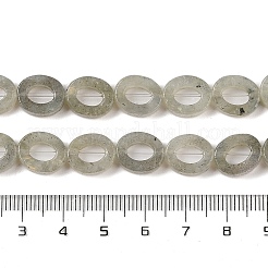 Natural Labradorite Beads Strands&nbsp;G-M439-A05-01