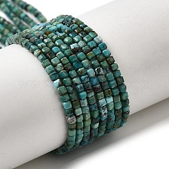 Natural HuBei Turquoise Beads Strands&nbsp;G-C009-B12-B