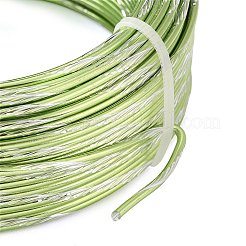 Two Tone Aluminum Wire&nbsp;AW-CBA2D89-01I
