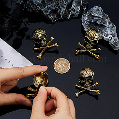 4Pcs Skull Zinc Alloy Brooches for Backpack Clothes&nbsp;JEWB-FH0002-04AG