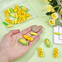 30Pcs 3 Styles Resin Cabochons&nbsp;RESI-DR0001-10