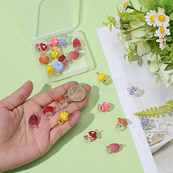 24Pcs 6 Styles Resin Pendants with Platinum Tone Iron Loops&nbsp;RESI-BM0001-10