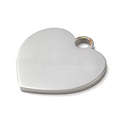 Non-Tarnish 304 Stainless Steel Pendants&nbsp;STAS-K270-27B-P