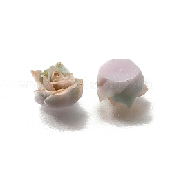 Luminous Opaque Resin Cabochons&nbsp;CRES-R458-14A-04