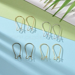 Iron Hoop Earring Findings&nbsp;IFIN-CJ0001-31