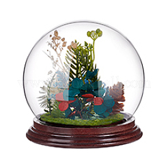 Glass Dome Cover&nbsp;ODIS-WH0078-40
