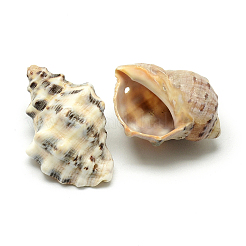 Conch Shell Pendants&nbsp;LS-SSHEL-Q299-006