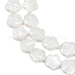 Electroplate Shell Pearl Beads Strands&nbsp;BSHE-Z009-07-01