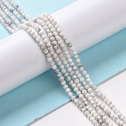 Natural Howlite Beads Strands&nbsp;G-H273-02A