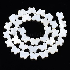 Natural Freshwater Shell Beads Strands&nbsp;SHEL-T009-A17-01