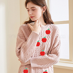 16Pcs Apple Polyester & Cotton Embroider Thread Iron on/Sew On Patches&nbsp;PATC-CA0001-19B