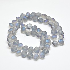 Frosted Electroplate Glass Shell Beads Strands&nbsp;EGLA-M002-B03