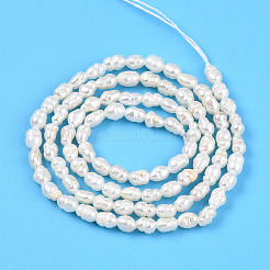 Natural Cultured Freshwater Pearl Beads Strands&nbsp;PEAR-N012-02X-01