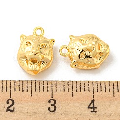 Brass Charms&nbsp;KK-Q809-20G