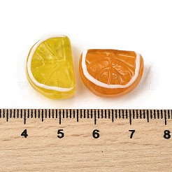 Handmade Lampwork Beads&nbsp;LAMP-S079-12