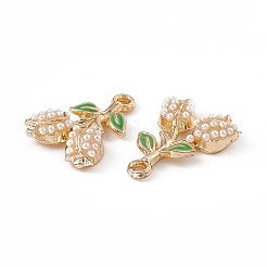 Alloy Enamel Pendants&nbsp;ENAM-K066-06G