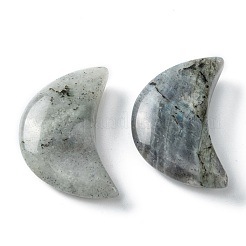 Natural Labradorite Beads&nbsp;G-I312-A05