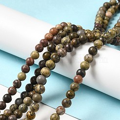 Natural Dendritic Jasper Beads Strands&nbsp;G-D481-16