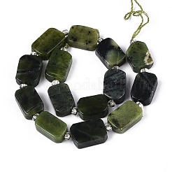 Natural Canadian Jade Beads Strands&nbsp;G-C098-A37-01