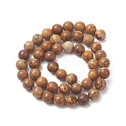 Natural Picture Jasper Round Bead Strands&nbsp;G-G-P070-55-8mm