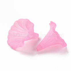 Transparent Acrylic Beads&nbsp;BSF796-C10