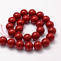 Shell Pearl Beads Strands&nbsp;X-BSHE-L026-01-14mm