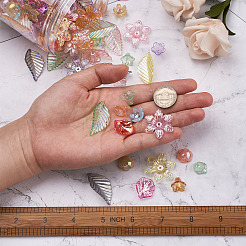 300Pcs 6 Style Transparent Acrylic Bead Caps&nbsp;TACR-CD0001-03