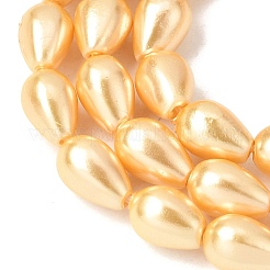 Electroplated Shell Pearl Beads Strands&nbsp;BSHE-C010-01B