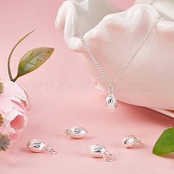 5Pcs 925 Sterling Silver Charms&nbsp;STER-BBC0005-35S