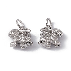 Rack Plating Brass Charms&nbsp;KK-C007-17P