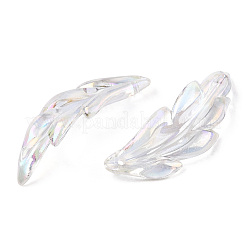 Transparent Acrylic Pendants&nbsp;TACR-T012-07