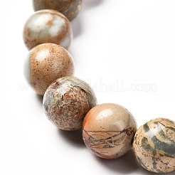 Natural Aqua Terra Jaspe Round Beads Stretch Bracelet for Men Women&nbsp;BJEW-JB06823-03