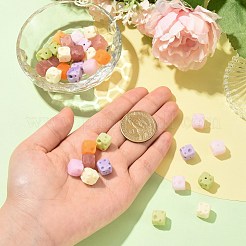 36Pcs 6 Colors Opaque & Transparent Resin Beads&nbsp;RESI-CJ0005-53