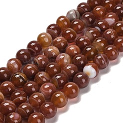 Natural Striped Agate/Banded Agate Beads Strands&nbsp;G-B079-A05-03B
